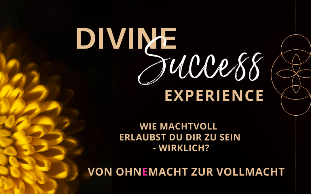 Divine Success Experience Masterclass