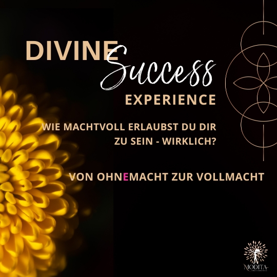 Divine Success Experience