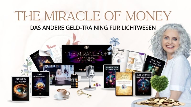 MOM Training Learndash Kurs-Bild (1)